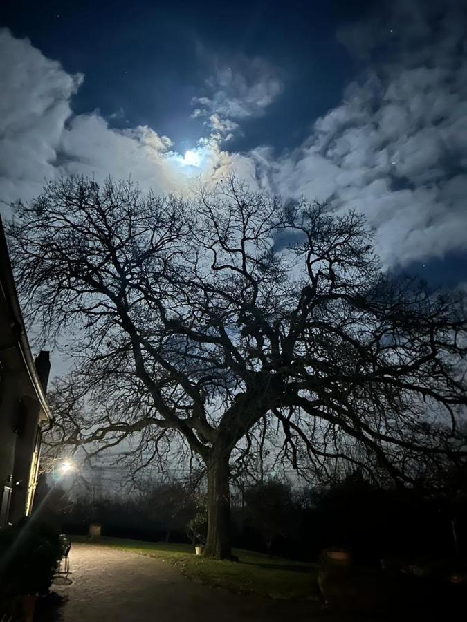 Podere Il Giurato Fauglia ภายนอก รูปภาพ