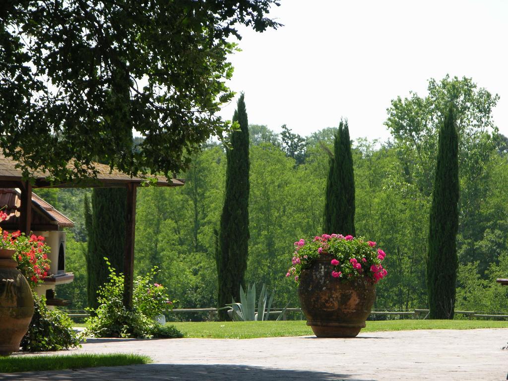 Podere Il Giurato Fauglia ภายนอก รูปภาพ