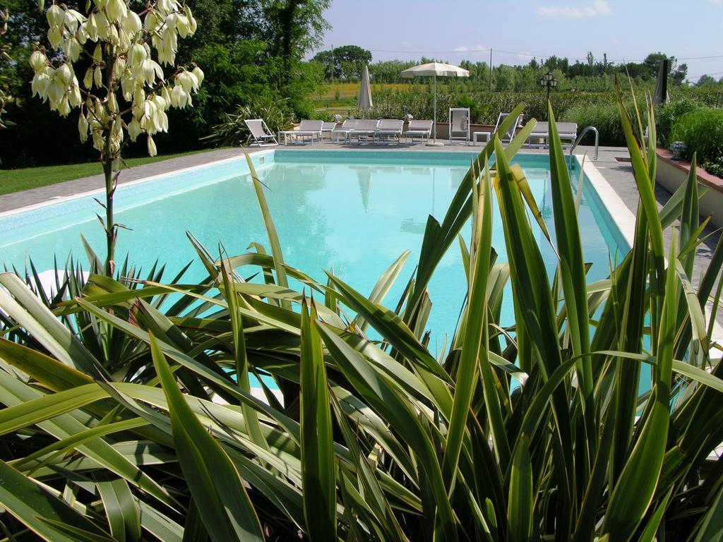 Podere Il Giurato Fauglia ภายนอก รูปภาพ