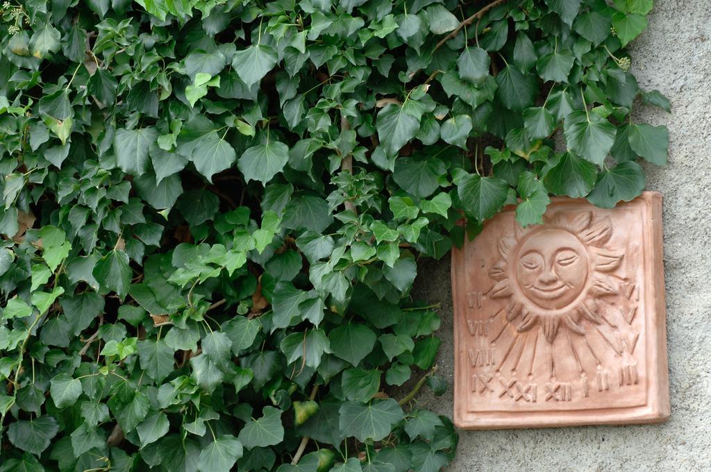 Podere Il Giurato Fauglia ภายนอก รูปภาพ
